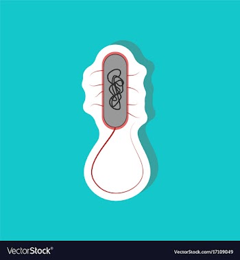 Bacteria paper sticker on stylish background vector image
