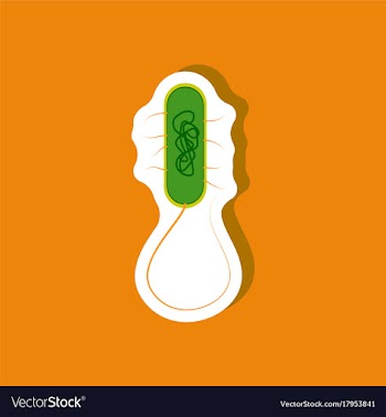 Bacteria paper sticker on stylish background vector image