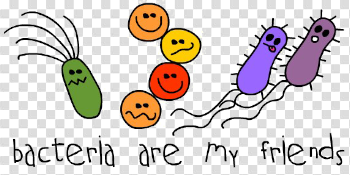 Bacteria PNG Photo