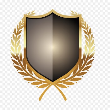 Badge Icon - Metal shield + 