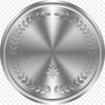Badge Metal Silver - Vector painted silver metallic coins 