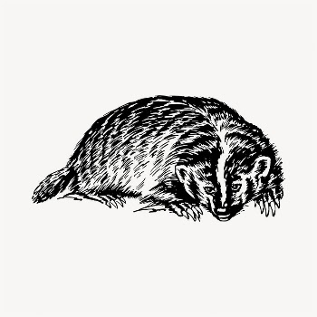 Badger illustration clipart vector. Free | Free Vector - rawpixel