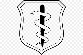 Badges of the United States Air Force Air Force Specialty Code Military - pharmacy snake 