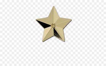 Badges Plus Ltd Star Lapel pin Pin Badges - gold badge 