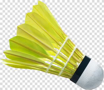 Badminton Shuttlecock PNG Free Download