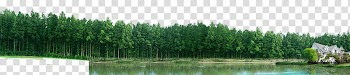 Baidu Baike Xiaosheng Glass Saint-Gobain 0, tree transparent background PNG clipart