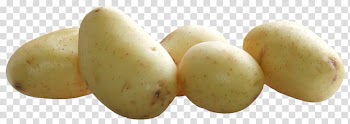 Baked potato French fries Baked beans Yukon Gold potato Russet Burbank, potato transparent background PNG clipart