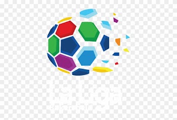 Bakersfield's Youth Soccer League - Soccer Ball