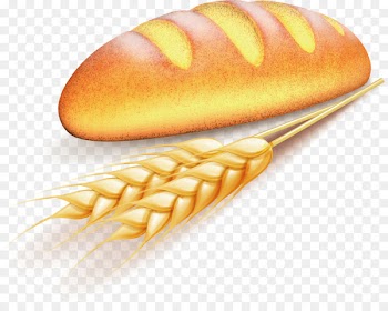 Bakery Baguette Common wheat Rye bread - Vector wheat bread 