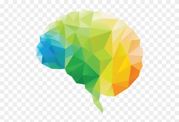 Balance Your Heart, Brain, And Gut 3 Brains Health - Brain Icon