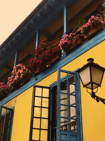 Balcony With Pink and Red Petaled Flowers