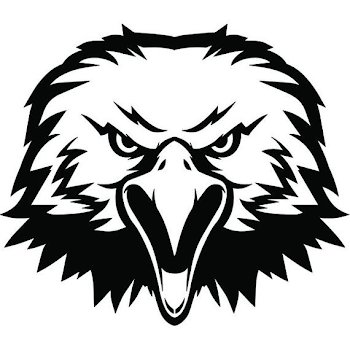 Bald Eagle 7b American Bird Mascot Head Face Animal Cartoon | PNGio
