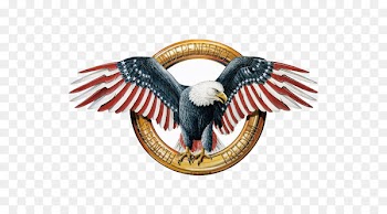 Bald Eagle American Eagle Outfitters T-shirt - American Eagle 