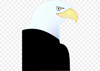 Bald Eagle, Beak, Neck, Bird PNG