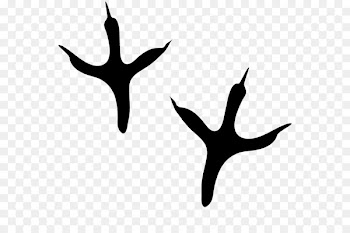 Bald Eagle Bird Animal track Footprint - rubber goods 