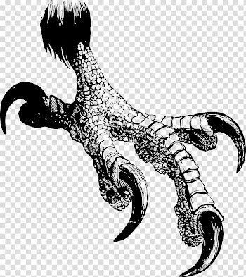 Bald Eagle Bird Eagle Talon Claw, color smoke transparent background PNG clipart