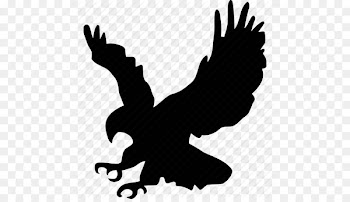 Bald Eagle Bird Golden eagle Clip art - Icon Eagle Free Vectors Download 
