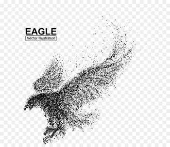 Bald Eagle Bird Illustration - eagle 