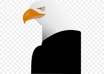 Bald eagle Bird Vector graphics Clip art - azadi symbol 