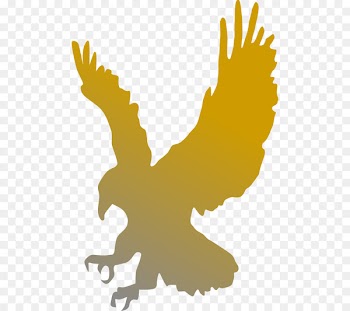 Bald Eagle Clip art - Gradient Golden Eagles 