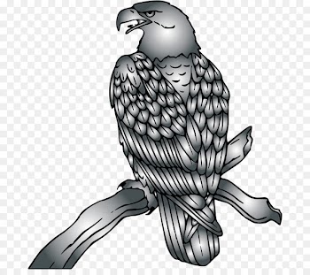 Bald eagle Clip art Hawk Openclipart - eagle 