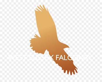Bald eagle Clip art Image Illustration Graphics - eagle 
