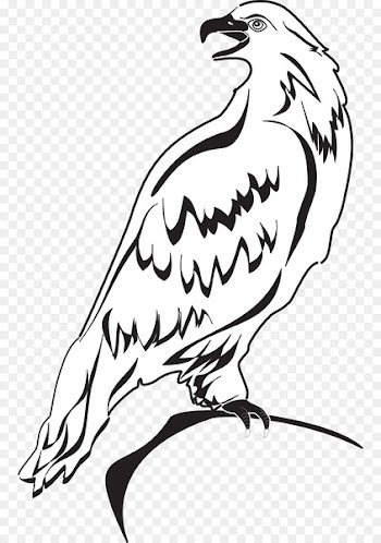 Bald eagle Clip art Image Scalable Vector Graphics - eagle 
