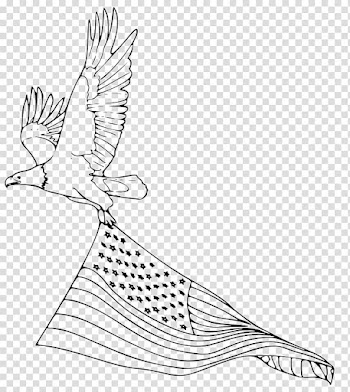 Bald Eagle Coloring book Harpy Eagle Drawing, eagle transparent background PNG clipart