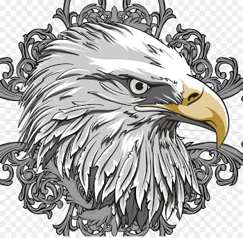 Bald Eagle Flag of the United States - Vector Eagle 