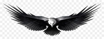Bald Eagle Golden eagle Clip art - eagle 