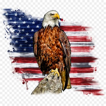 Bald eagle Liberty Bell Flag of the United States T-shirt - T-shirt 