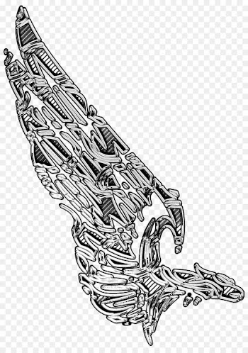 Bald Eagle, Line Art, Eagle, Drawing PNG