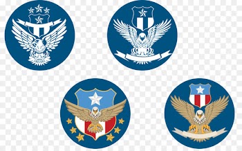 Bald Eagle Logo Emblem - Vector illustration Cartoon Falcon 