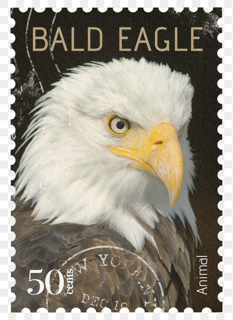 Bald eagle png post stamp | Free PNG - rawpixel