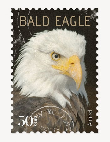 Bald eagle postage stamp, animal | Free PSD - rawpixel