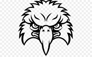Bald Eagle Royalty-free Clip art - Face png download - 547*550 ...