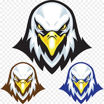 Bald Eagle Stock illustration Mascot - Eagle Head logo 