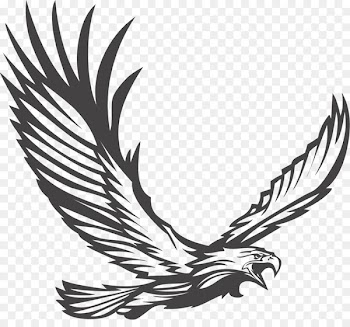 Bald Eagle Stock photography Illustration - Eagles fly 