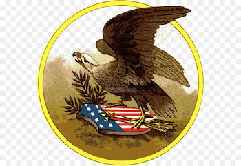 Bald eagle Vector graphics Clip art Image - eagle 