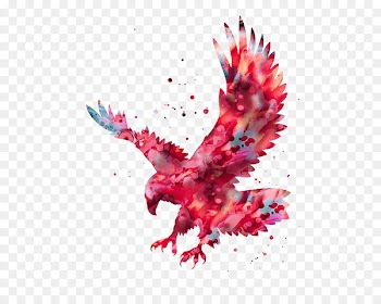 Bald Eagle Watercolor painting Printmaking - Ink Eagle 