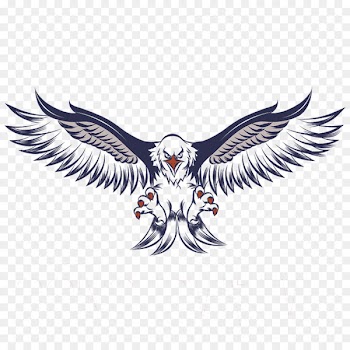 Bald Eagle White-tailed Eagle Clip art - gunfare 