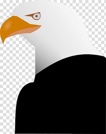 Bald Eagle , yellow pumpkin，green strings，branches transparent background PNG clipart