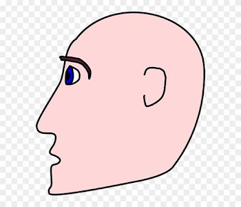Bald Head, People, Man, Profile, Person, Cartoon, Side, - Cartoon Side Profile