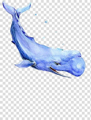 Baleen whale Blue whale Watercolor painting, Blue whale transparent background PNG clipart