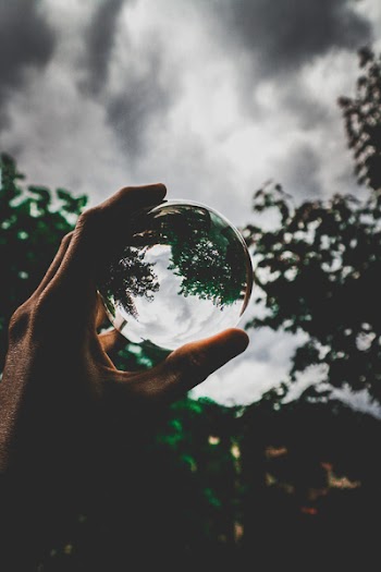 Ball Photography of Tree Under Gray Sky
