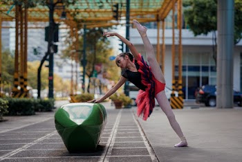 Ballet Dancer