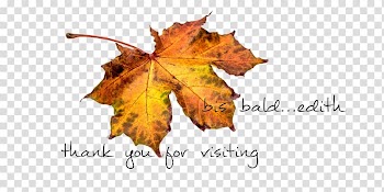 Ballet Dancer , ballet transparent background PNG clipart