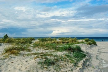 Baltic Sea, Coast, Darß, Beach, Dune, Cloudiness