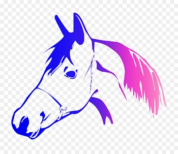 Baltimore Drawing Illustration Coloring book Pony -  