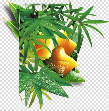 Bamboe Icon, Bamboo leaves transparent background PNG clipart